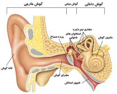رفتارهای خطرناک برای قوه‌ شنوایی, رفتارهای خطرناک برای قوه‌ شنوایی, شنوایی, قوه‌ شنوایی
