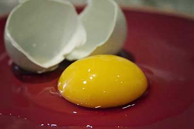چگونه از تخم مرغ برای رشد مو استفاده کنیم؟, تخم مرغ برای رشد مو, تخم مرغ برای مو, چگونه از تخم مرغ برای رشد مو استفاده کنیم؟
