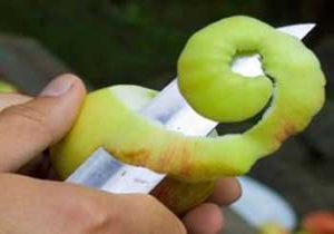 سیب را به این دلیل با پوست بخورید, گوناگون