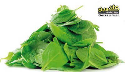 خواص و اثرات دارویی گیاه اسفناج, Spinach
