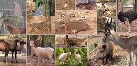 تور گردشگری آنتالیا آنتالیا،جاهای دیدنی آنتالیا
