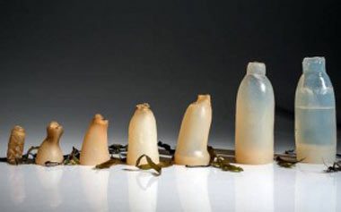 ساخت بطری آب خوردنی با استفاده از جلبک, علمی و فناوری