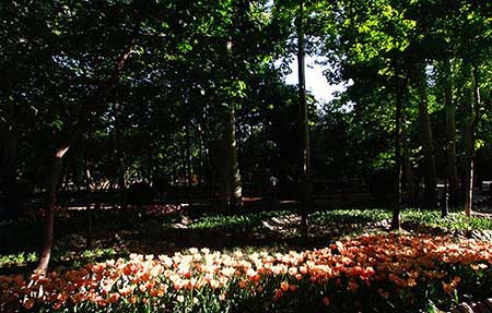 مکان های دیدنی تهران،جاذیه هار گردشگری تهران مکان های دیدنی تهران,جاهای دیدنی تهران,جاذیه هار گردشگری تهران