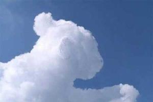 ابرهای جالب در آسمان به شکل حیوانات, عکس جالب