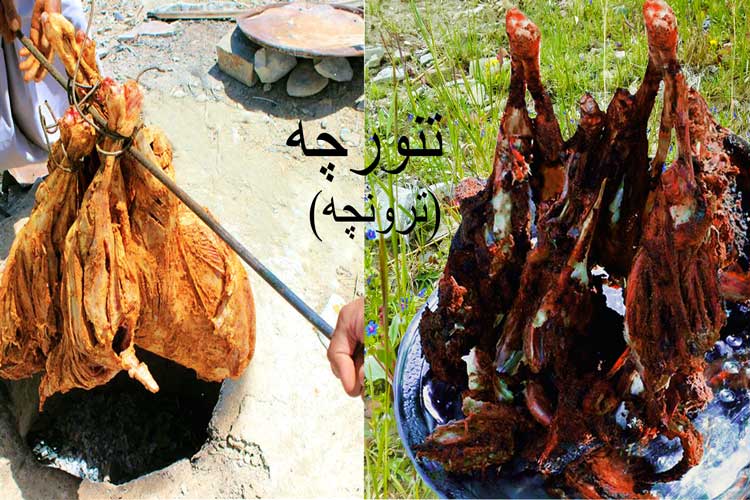 تنورچه
