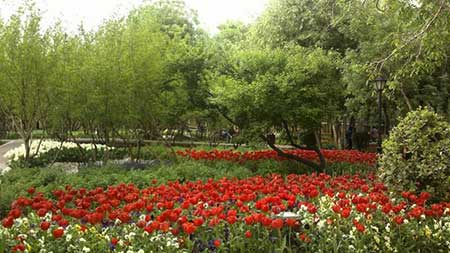پارک باغ ایرانی،باغ ایرانی تهران باغ ایرانی,پارک باغ ایرانی,باغ ایرانی تهران