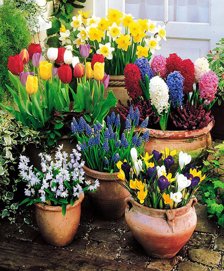 طراحی حیاط های کوچک خانه،بازسازی حیاط های کوچک طراحی حیاط آپارتمان,دکوراسیون و چیدمان حیاط خلوت