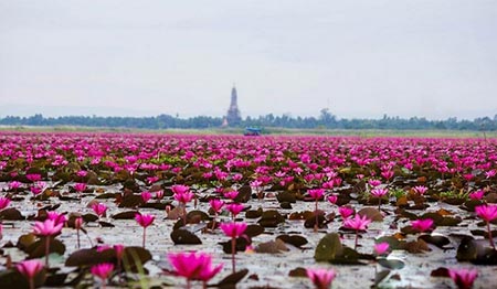 جاهای دیدنی تایلند،مکانهای تفریحی تایلند جاهای دیدنی تایلند,دیدنی های تایلند
