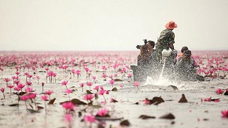 جاهای دیدنی تایلند،دیدنی های تایلند دریاچه نیلوفر قرمز,دریاچه نیلوفر قرمز در تایلند