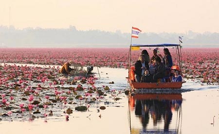 دریاچه نیلوفر قرمز,دریاچه نیلوفر قرمز در تایلند