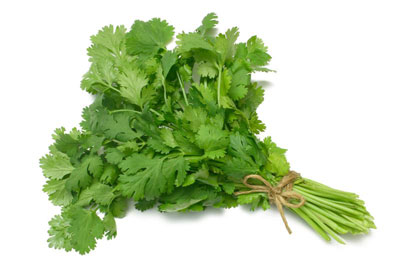 گیاهان تقویت قوای جنسی روش های تقویت قوای جنسی,تقویت قوای جنسی,تقویت کننده قوای جنسی