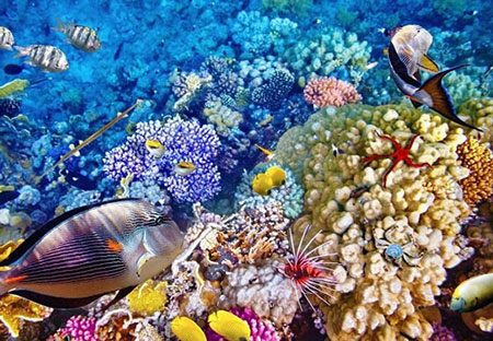 استرالیا امن ترین مقاصد گردشگری