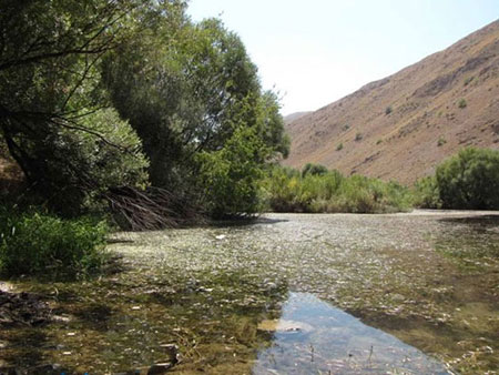 دریاچه گهر کجاست,تصاویر دریاچه گهر دریاچه گهر،دریاچه گهر لرستان