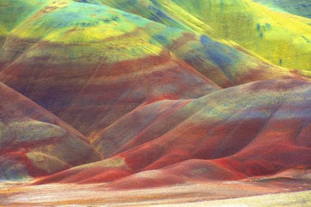 کویر, کویر اورگان, دیدنی های جهان کویر, کویر اورگان, دیدنی های جهان