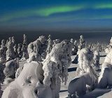 تصاویری از جنگل یخ زده در فنلاند معروف به زادگاه بابانوئل, توریسم, گردش, گردشگری, مسافرت, مکان های توریستی, مکان های گردشگری