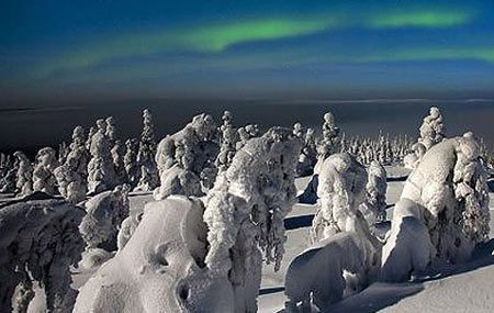 تصاویری از جنگل یخ زده در فنلاند معروف به زادگاه بابانوئل, گردشگری