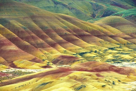 کویر, کویر اورگان, دیدنی های جهان کویر, کویر اورگان, دیدنی های جهان