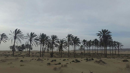تصاویر روستای روستای درک جاهای دیدنی چا بهار,مکانهای تفریحی چا بهار
