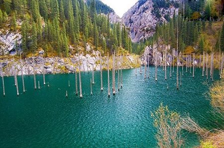 عجیب ترین دریاچه دنیا با درختانی وارونه, گردشگری