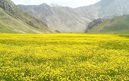 ,شرایط اقلیمی پارک ملی،دشت لار دیدنی های لار,جاذبه های گردشگری لار