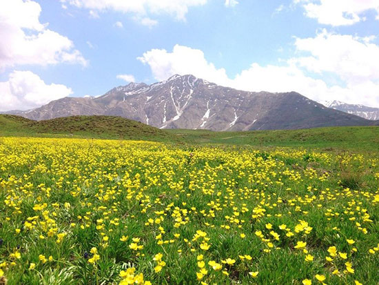 سفر به دره های سرسبز و دیدنی ایران سفر به دره های سرسبز و دیدنی ایران