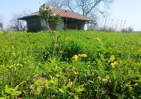 مکانهای تفریحی بابلسر دیدنی های بابلسر,آثار تاریخی بابلسر