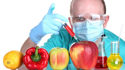 مزایا و معایب غذاهای اصلاح شده ژنتیکی, تغذیه و رژیم