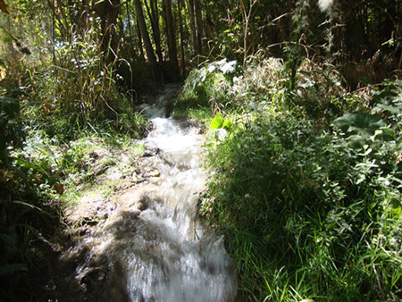 جاهای دیدنی نطنز,تصاویر نطنز چشمعه های نطنز,عکس های روستای فریزهند