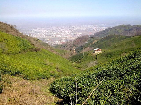گلابدره در تهران،تصاویر گلابدره تهران عکس های گلابدره تهران,تهران