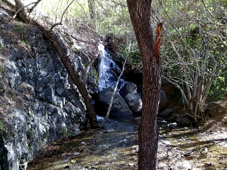 گلابدره در تهران،تصاویر گلابدره تهران عکس های گلابدره تهران,تهران