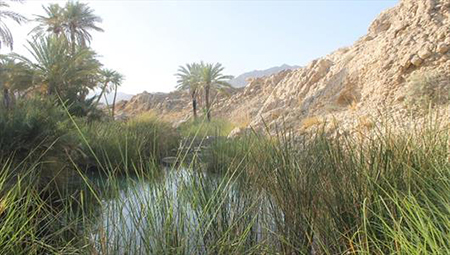 چشمه دمدمی مزاج،هرمزگان,جاهای دیدنی هرمزگان چشمه دمدمی مزاج هرمزگان