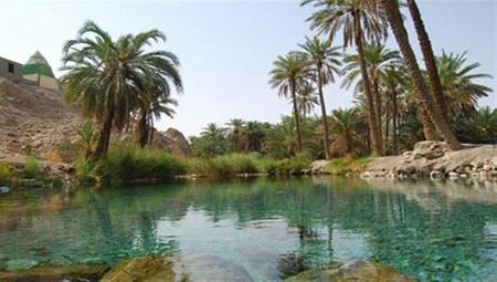 چشمه دمدمی مزاج،هرمزگان,جاهای دیدنی هرمزگان چشمه دمدمی مزاج هرمزگان