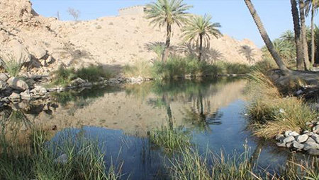 چشمه دمدمی مزاج،هرمزگان,جاهای دیدنی هرمزگان چشمه دمدمی مزاج هرمزگان
