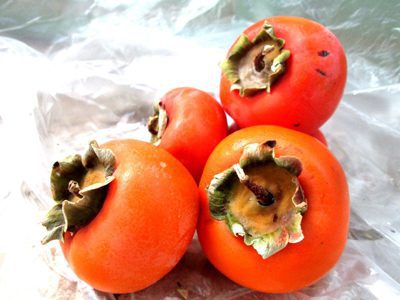 خواص خرمالو،خواص و نگهداری از خرمالو نگهداری از خرمالو, نگهداری از خرمالو