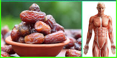 خرما و لاغری،خرما و چاقی رژیم لاغری خرما, ارزش غذایی خرما