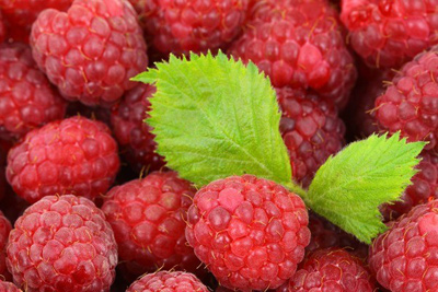 داروهای ضد التهابی استروئیدی، با رژیم غذایی ضد التهابی از بیماریها پیشگیری کنید غذای کاهش درد آرتروز, کاهش درد آرتروز زانو