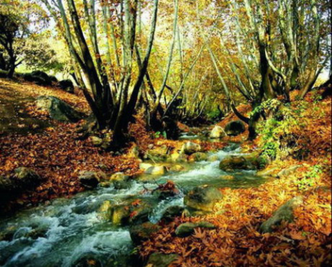 تنگه گنجهای تنگه گنجه ای,تصاویر تنگه گنجه ای,جاذبه های گردشگری یاسوج