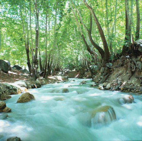 یاسوج تنگه گنجه ای,تصاویر تنگه گنجه ای,جاذبه های گردشگری یاسوج