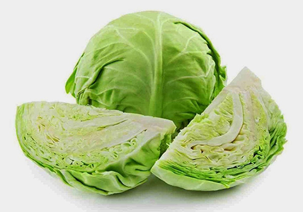 کلم و خشک شدن شیر برای خشک شدن شیر و قطع شیردهی چه کنیم؟