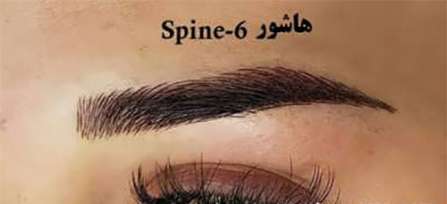 فیبروز ابرو؛ انواع و هزینهی آن فیبروز ابرو؛ انواع و هزینهی آن