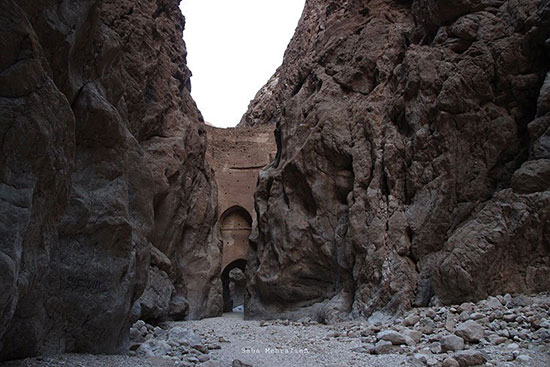 طبس؛ سرزمین رفاقت نخل و پرتقال طبس؛ سرزمین رفاقت نخل و پرتقال