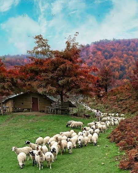 ییلاق للندیز ماسوله مناطق دیدنی ماسوله, جاهای دیدنی ماسوله, جاهای دیدنی ماسوله